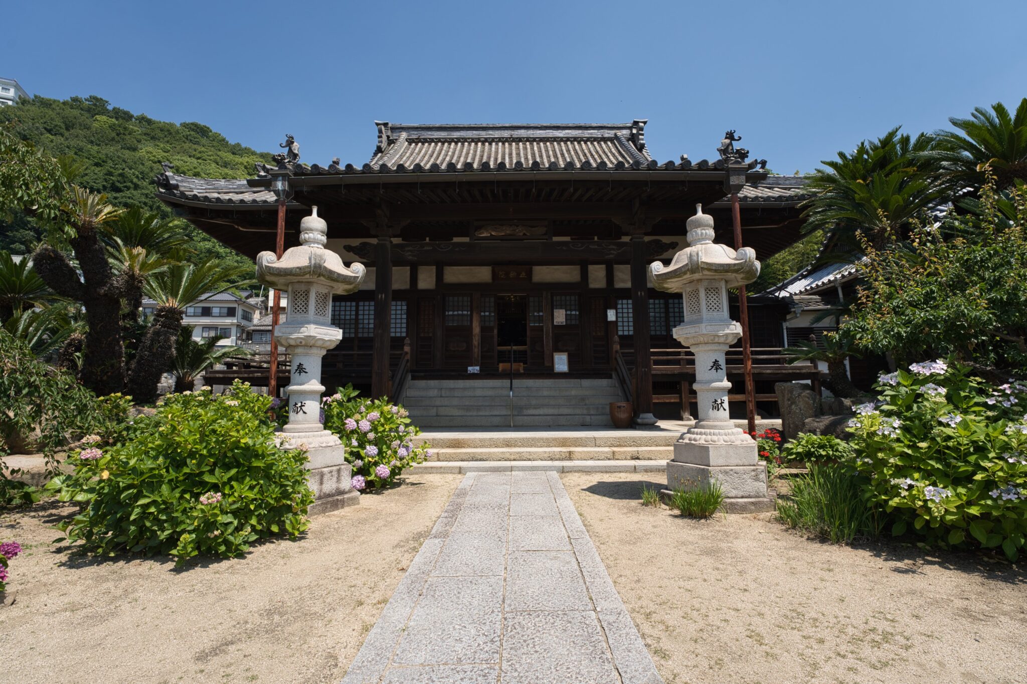 「あじさい」と「にぎり仏」のお寺『持光寺』のあじさいが今、見頃です!【尾道市西土堂町】 福山市のオープン・閉店・イベント情報なら『ふくやま