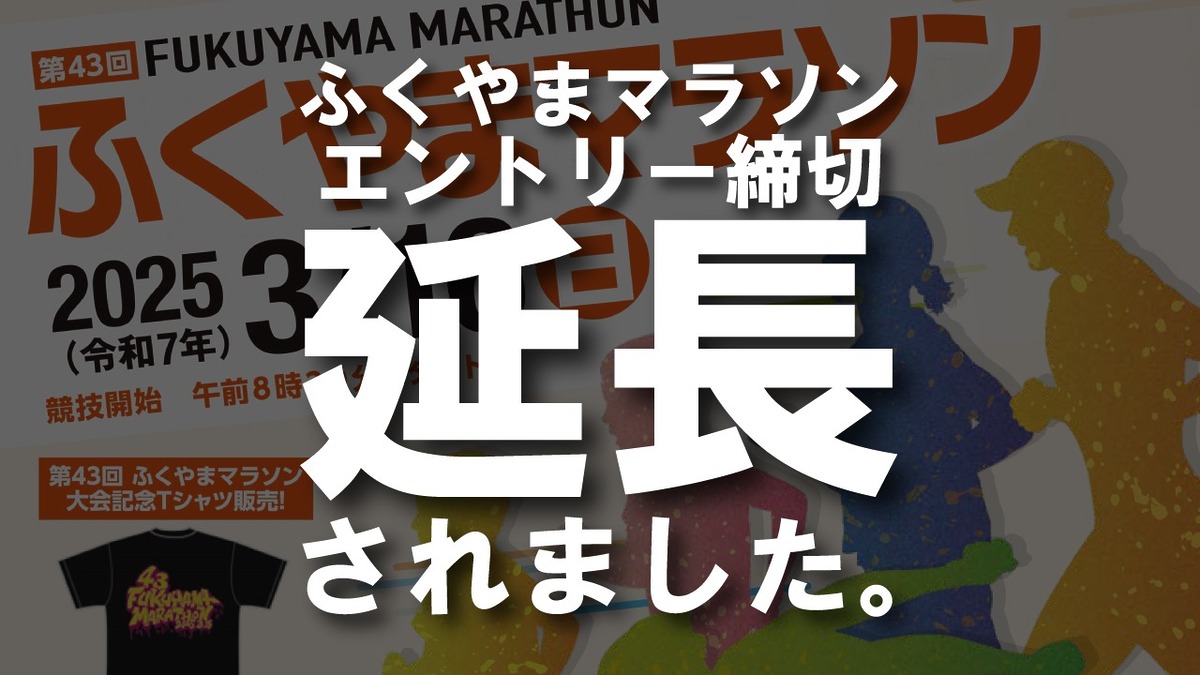 ad8f334404ec5cf65f91efa589c474