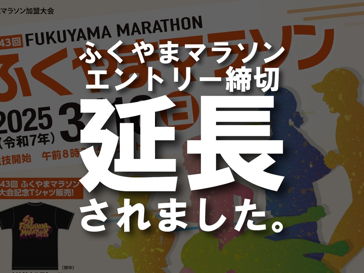 ad8f334404ec5cf65f91efa589c474