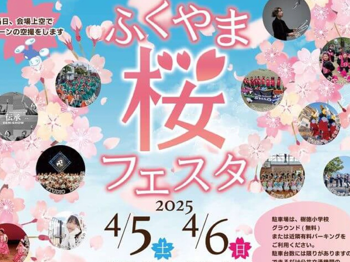 ad8f334404ec5cf65f91efa589c474